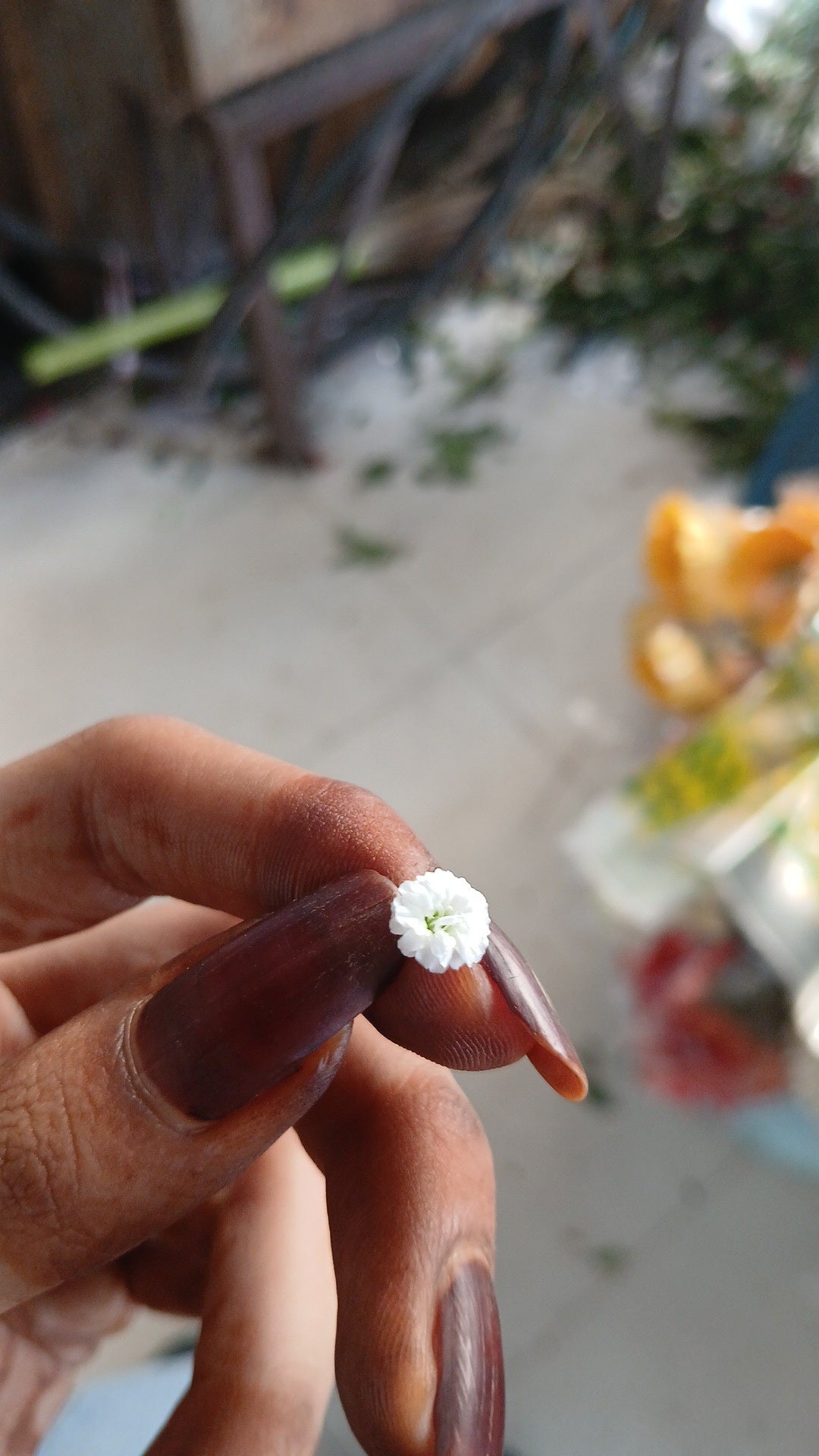 🌿 Natural Nail Cone Liquid - Darkest Maroon